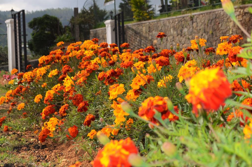 Thuring'S Holiday Bungalow Nuwara Eliya Exterior foto